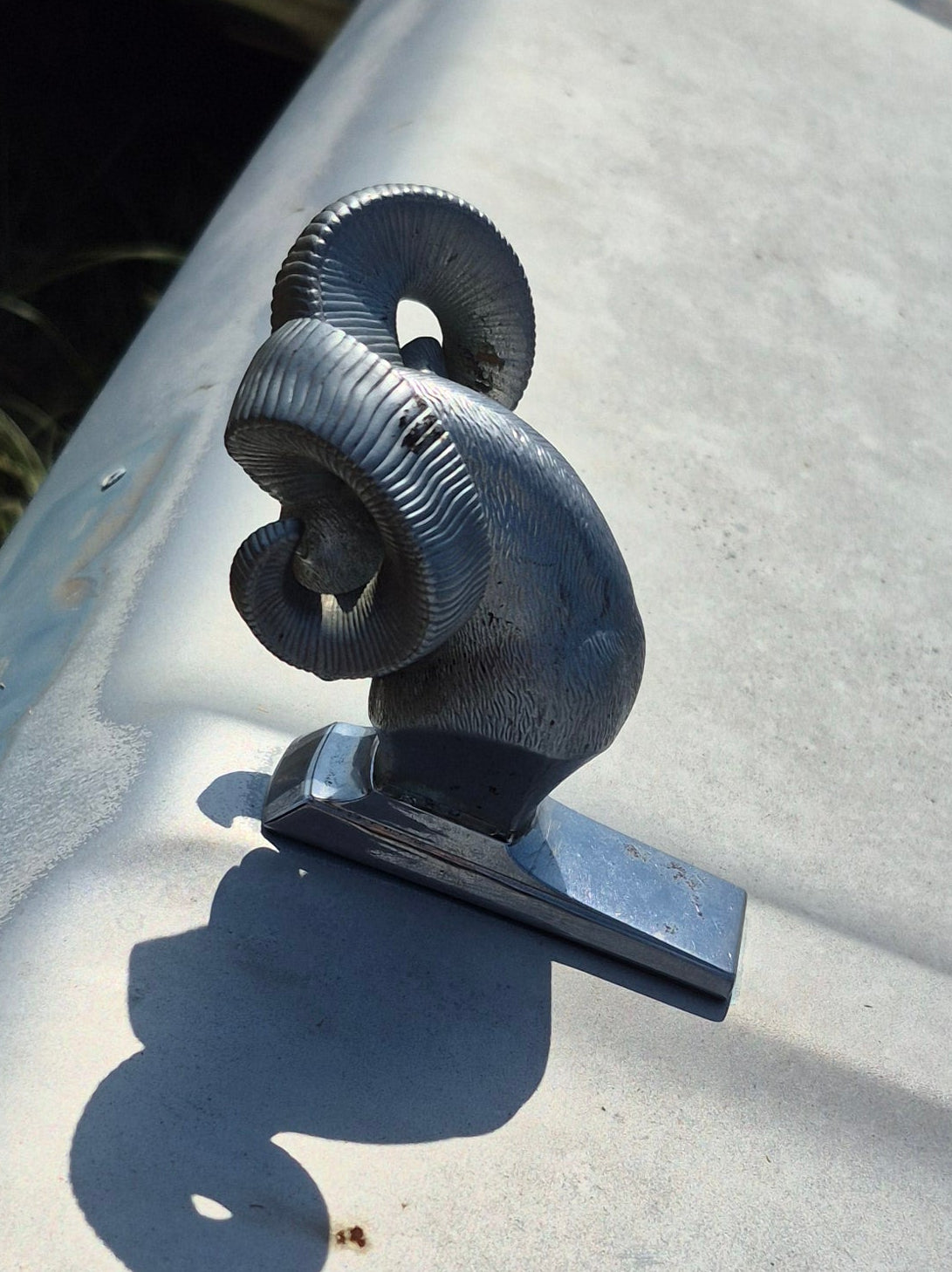 Rams Head Emblem OEM - read