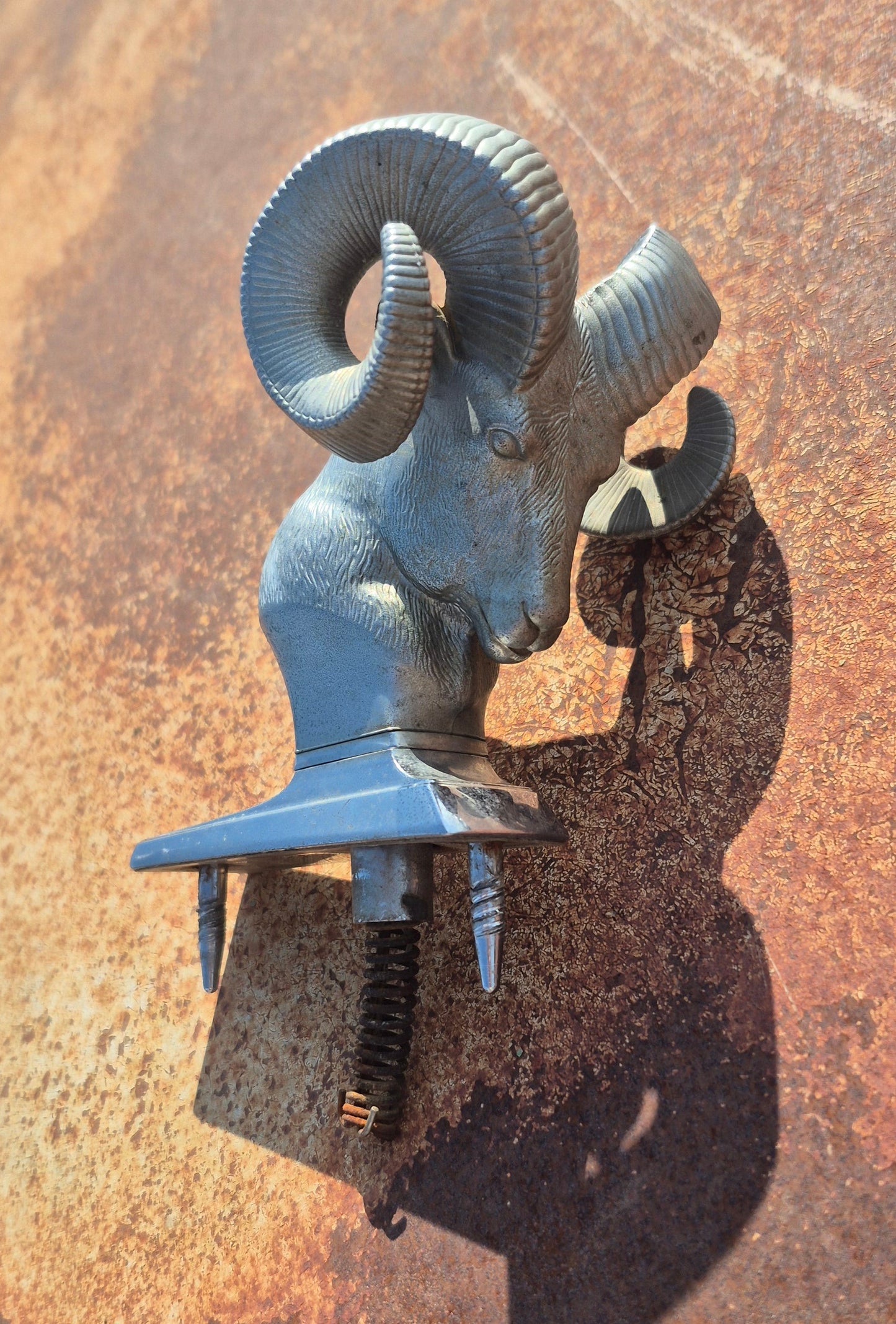 Rams Head Emblem (A) OEM