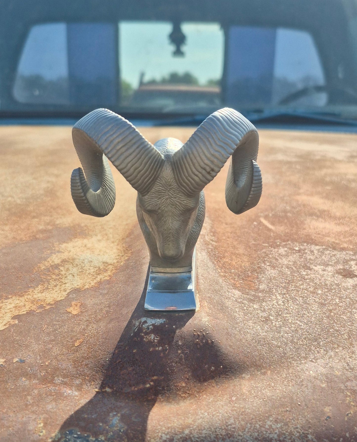 Rams Head Emblem (A) OEM