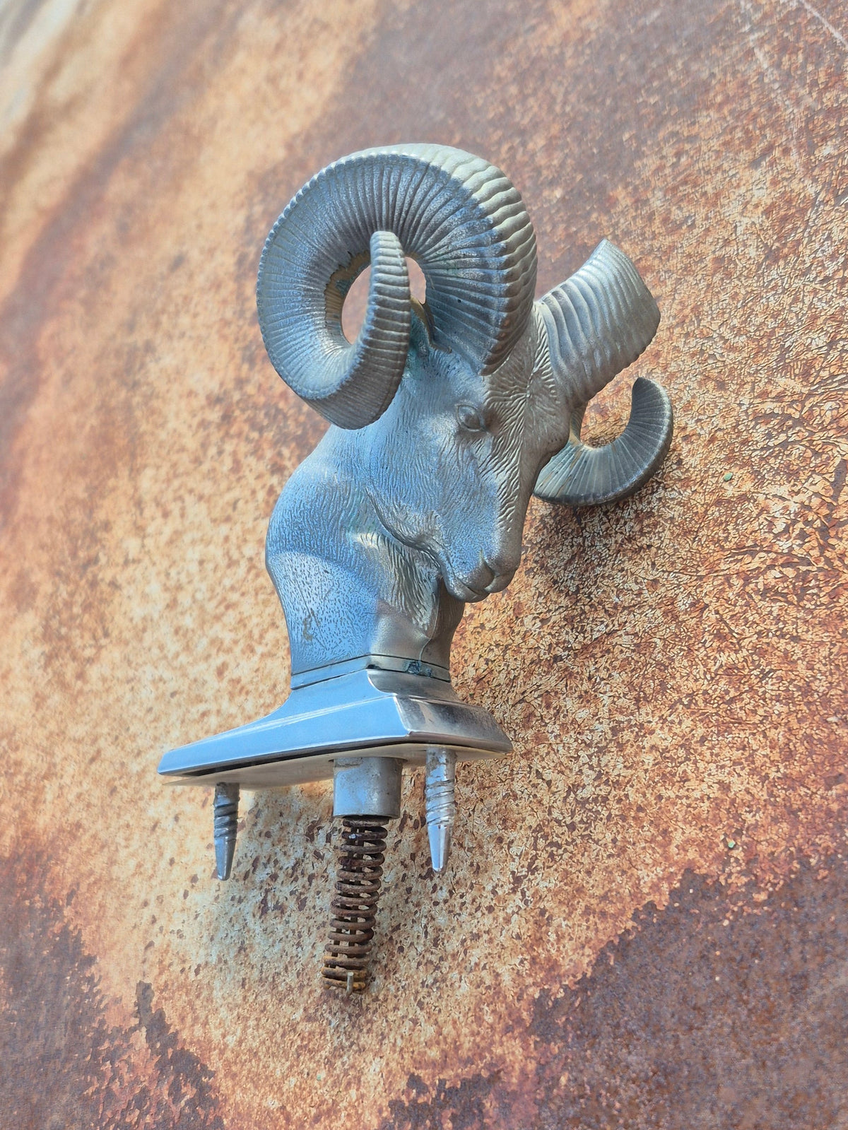 Rams Head Emblem (B) - OEM