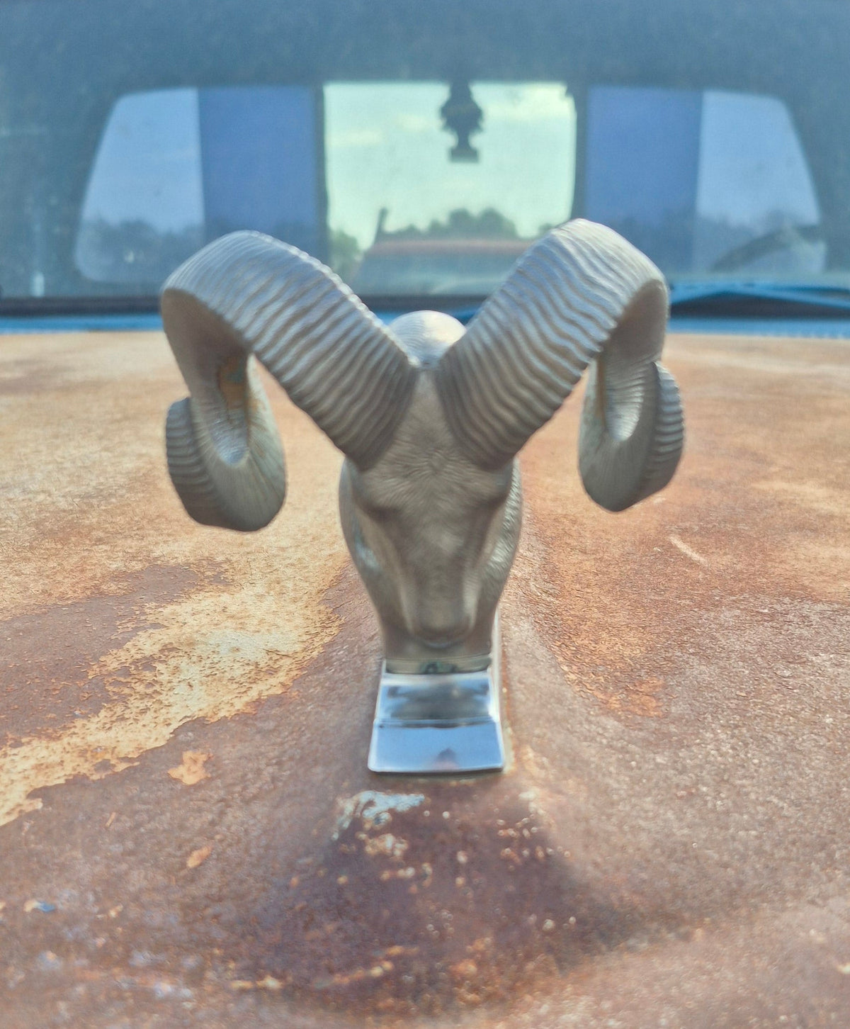 Rams Head Emblem (B) - OEM