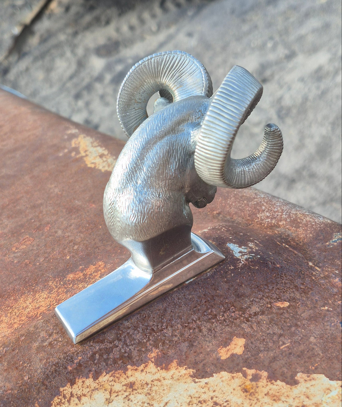 Rams Head Emblem (B) - OEM