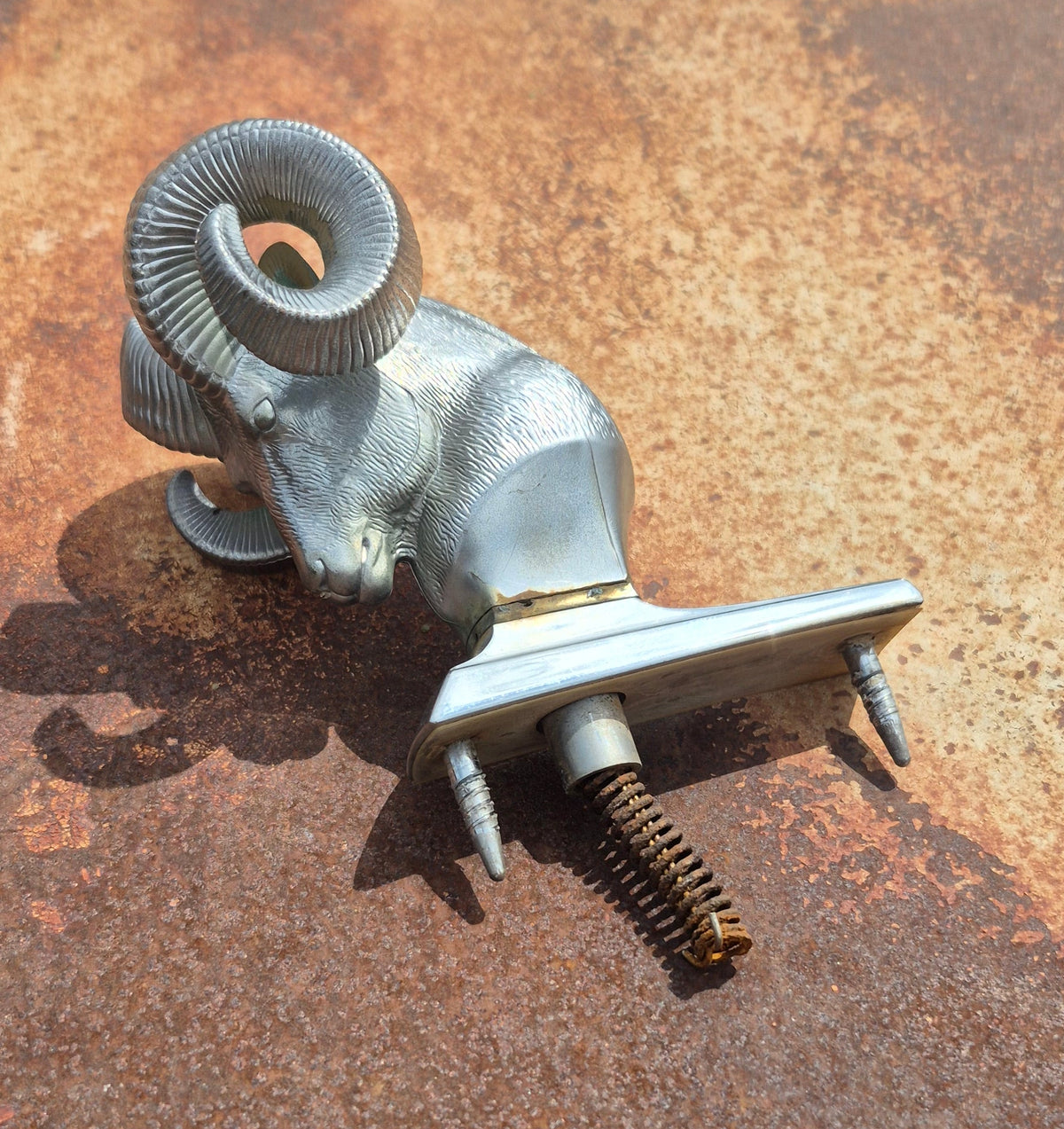 Rams Head Emblem OEM (B) - read