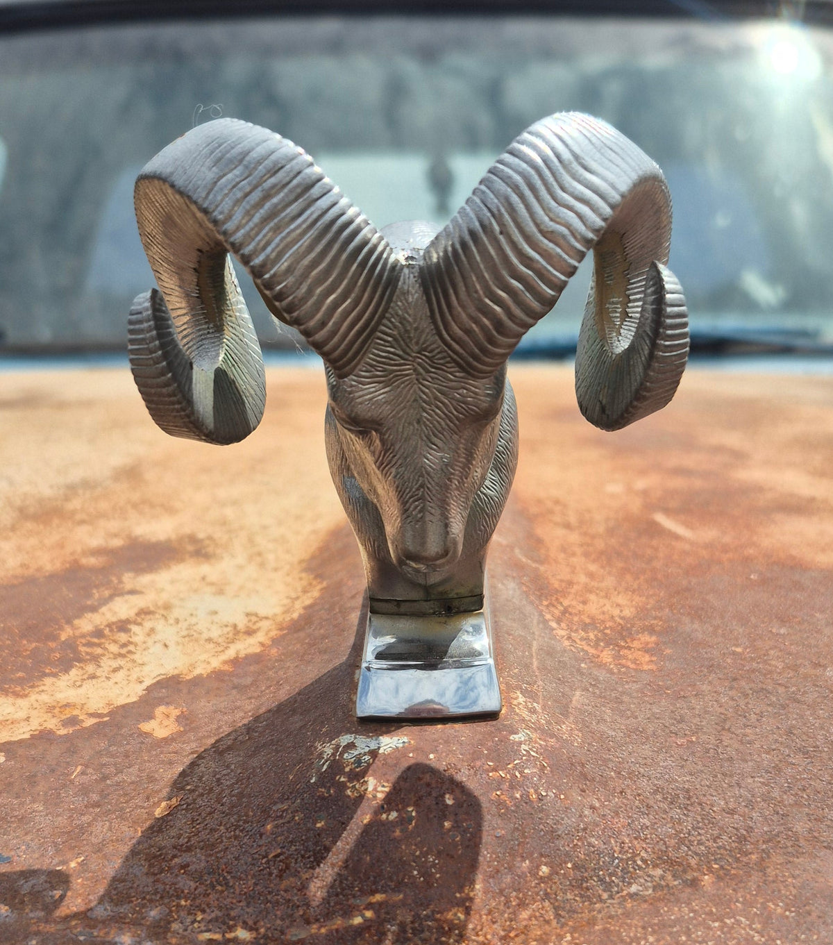 Rams Head Emblem OEM (B) - read
