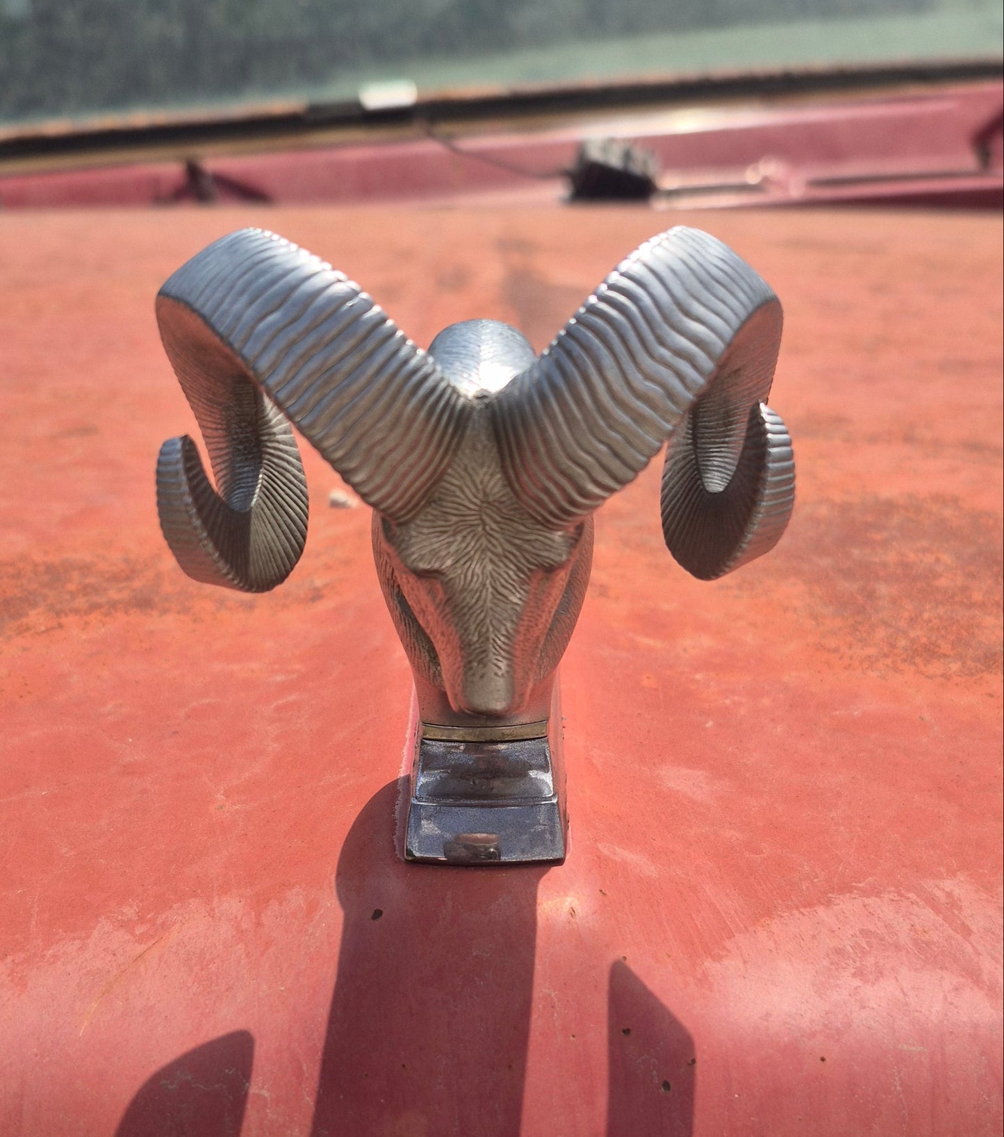 Rams Head Hood Ornament OEM (C) Used