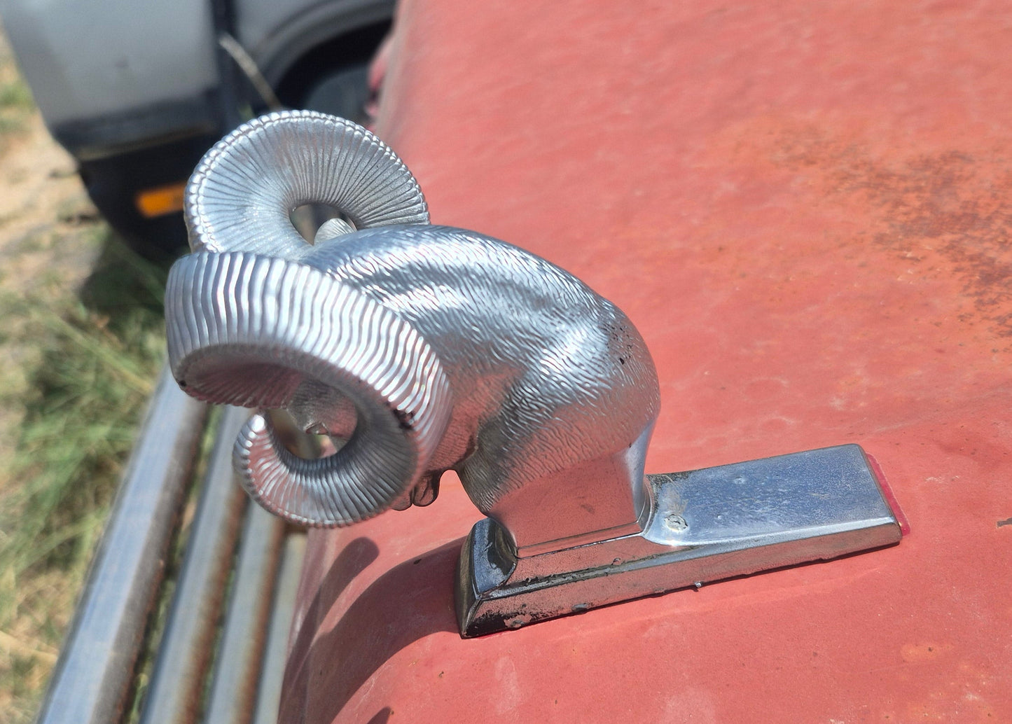 Rams Head Hood Ornament OEM (C) Used