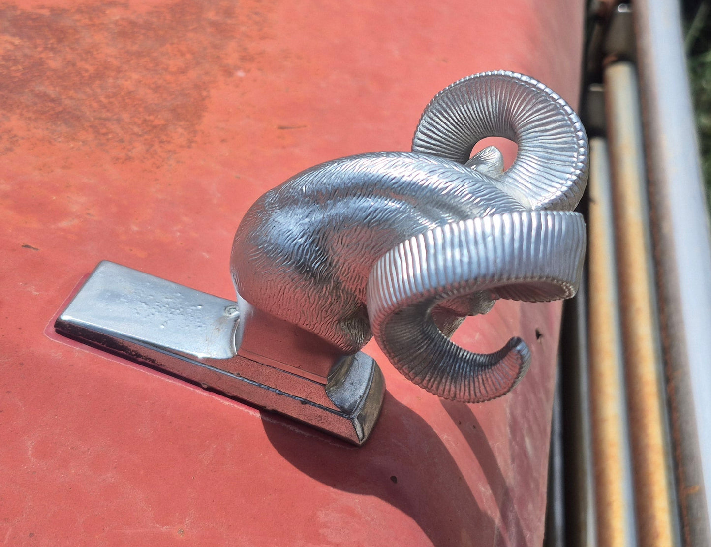 Rams Head Hood Ornament OEM (C) Used