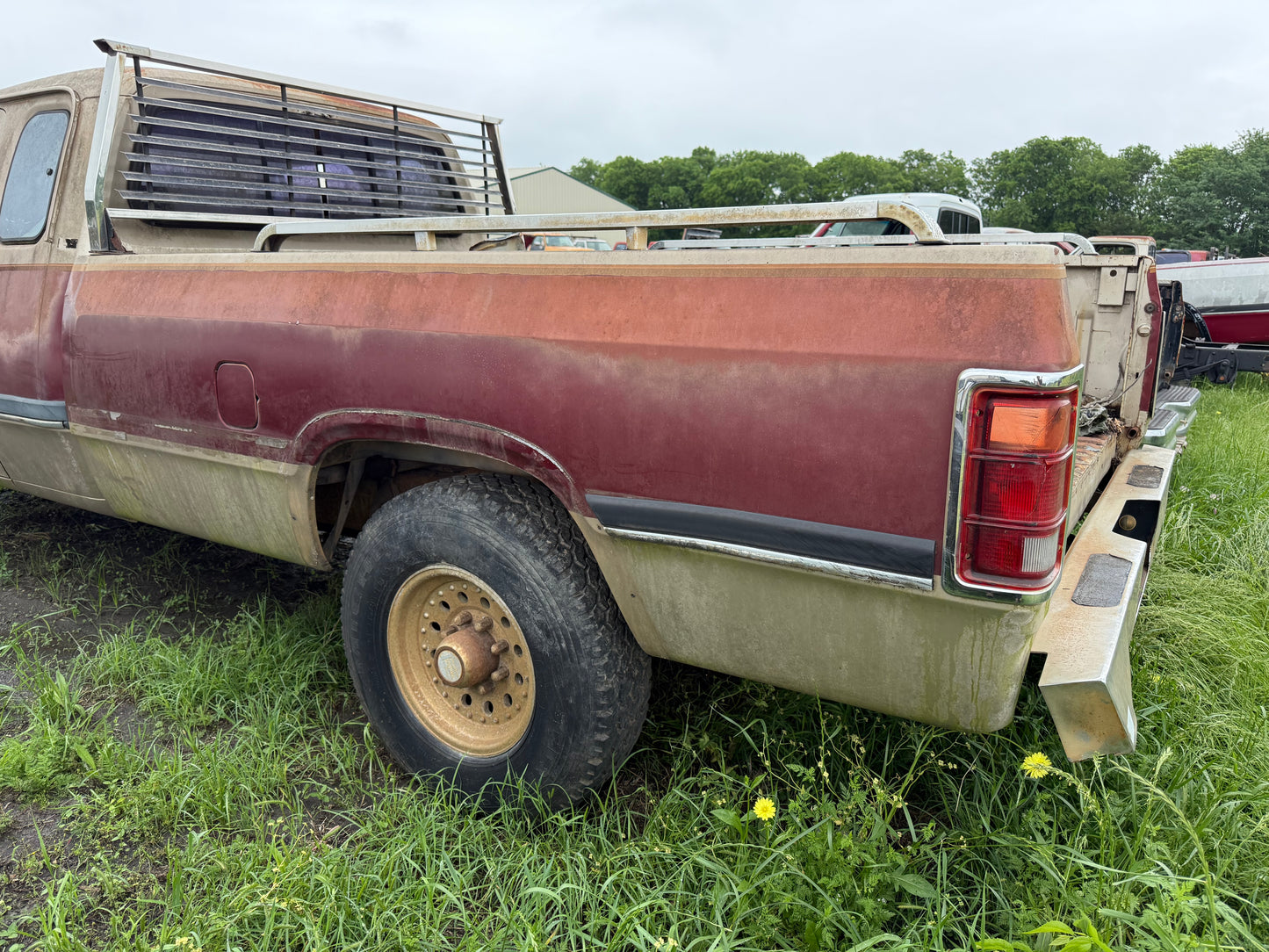 Z Single Wheel Bed Gold / Maroon