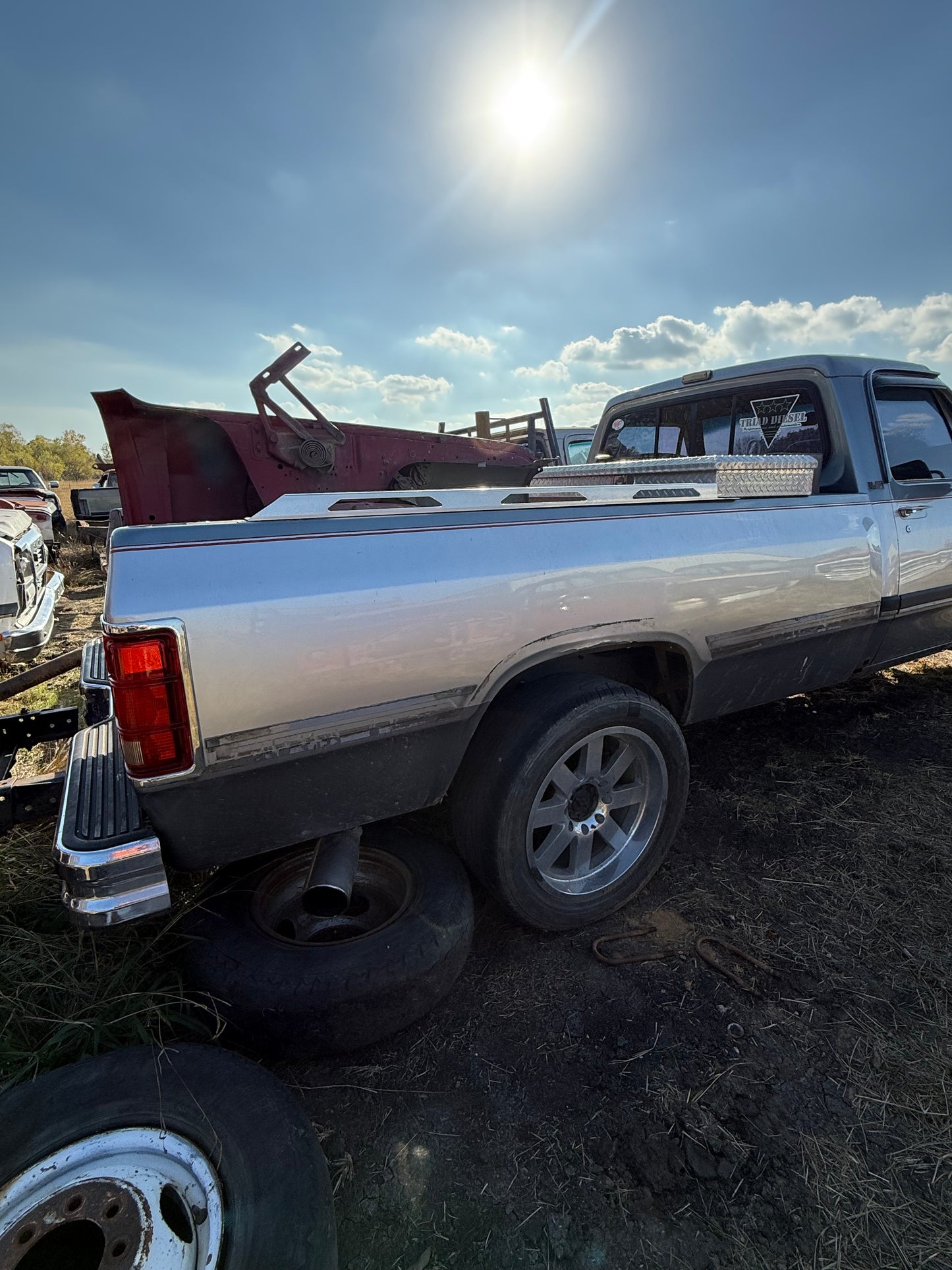 Grey and Silver Long Bed