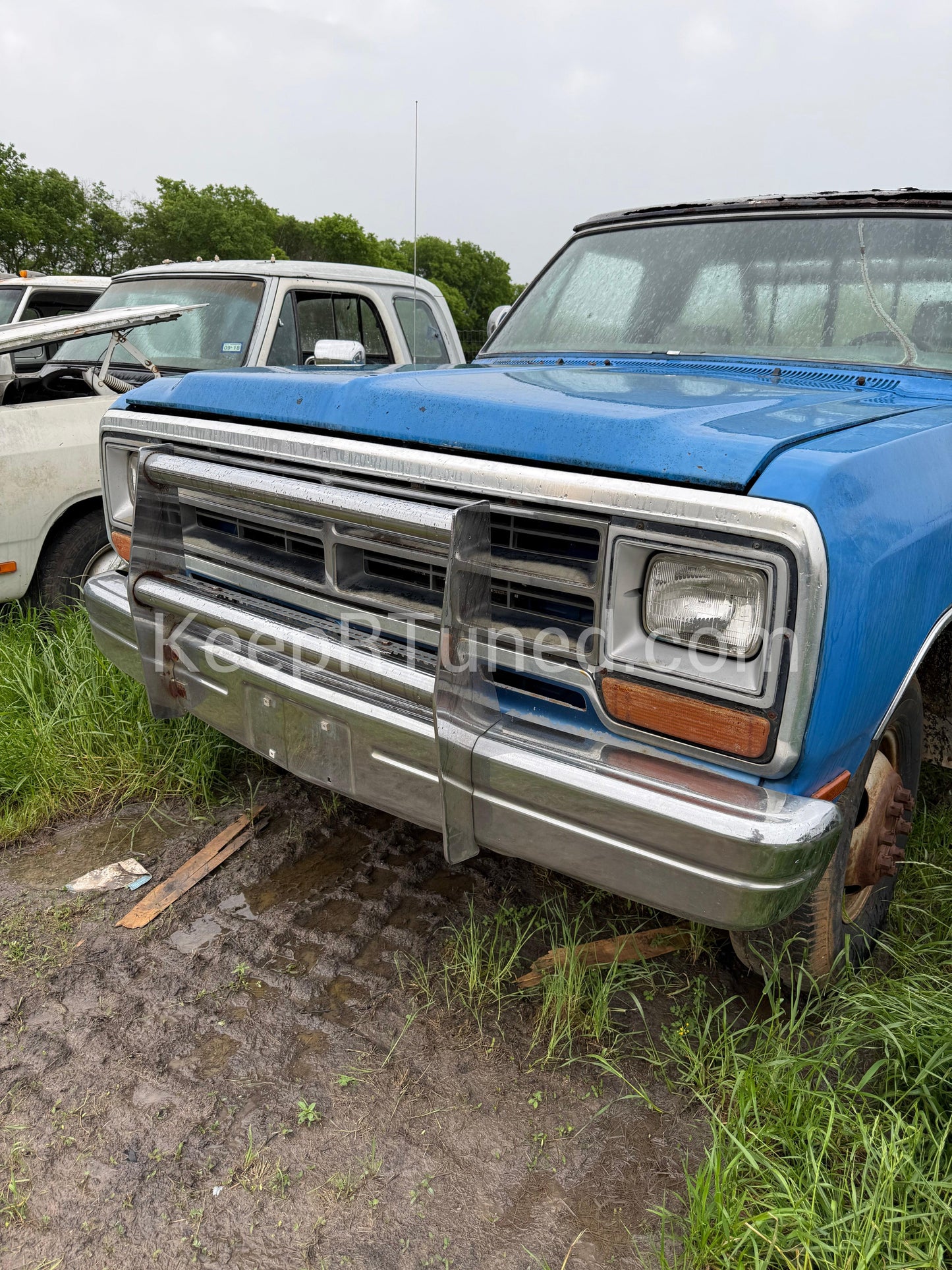 Bull Bar Push Bar Bumper Rare