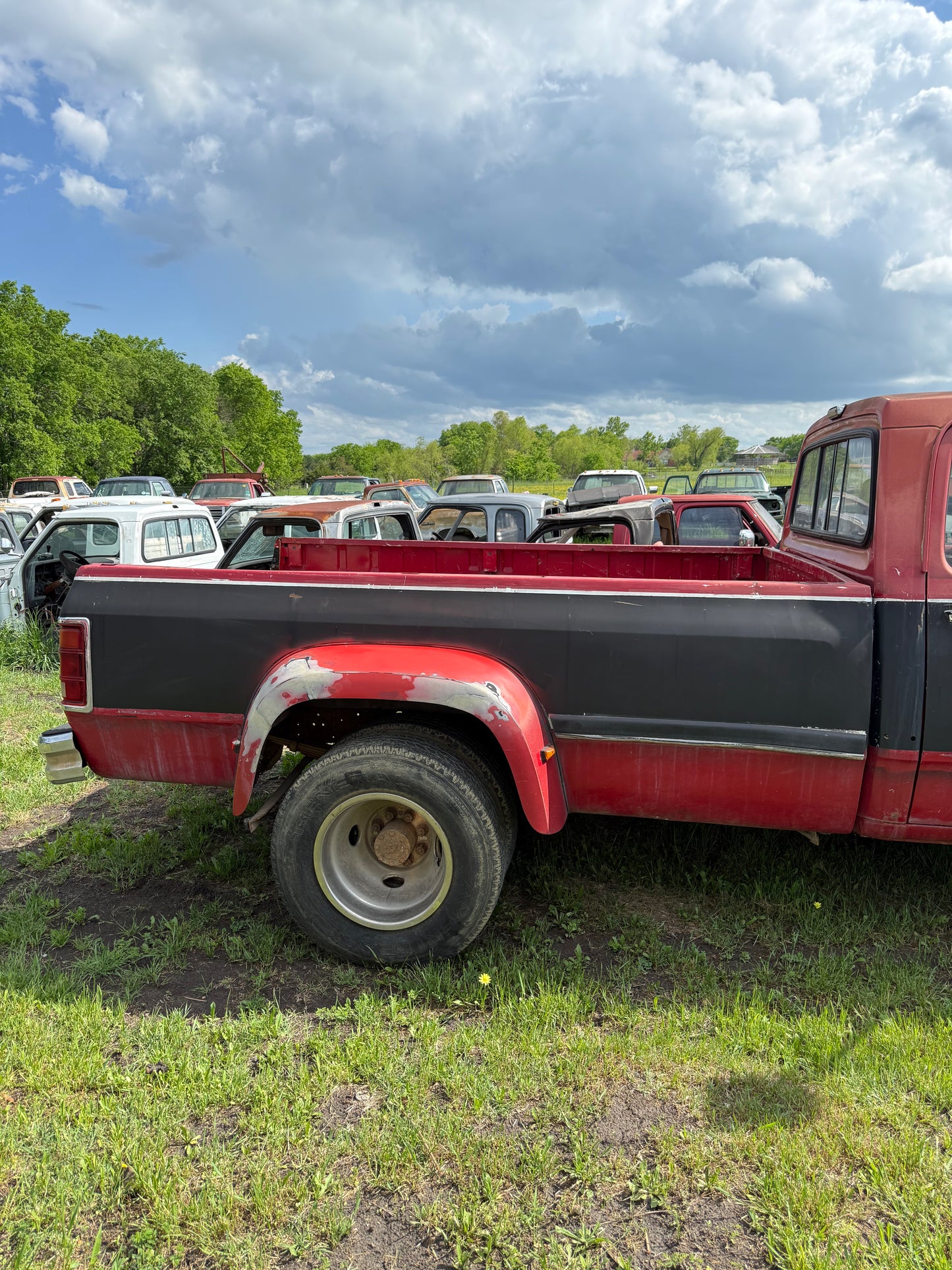 Z Dually Bed Red/Silver