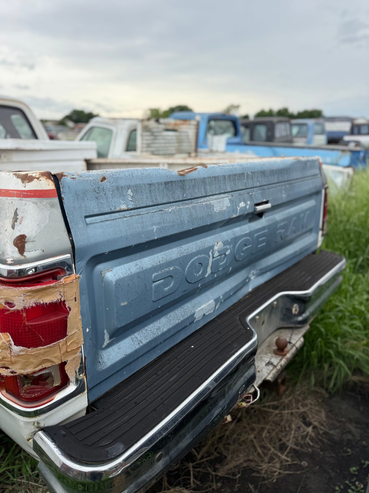 Tailgate Blue Stamped First Gen Cummins (Local Pickup)
