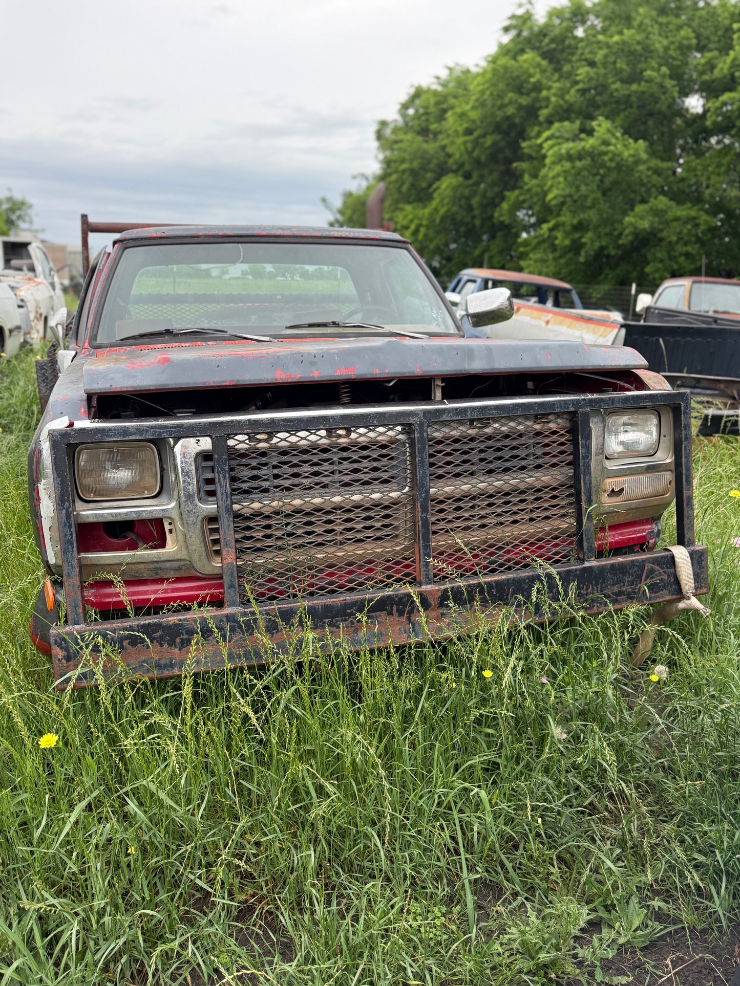 Ranch Hand Style Grill Guard First Gen Cummins (Local Pickup)