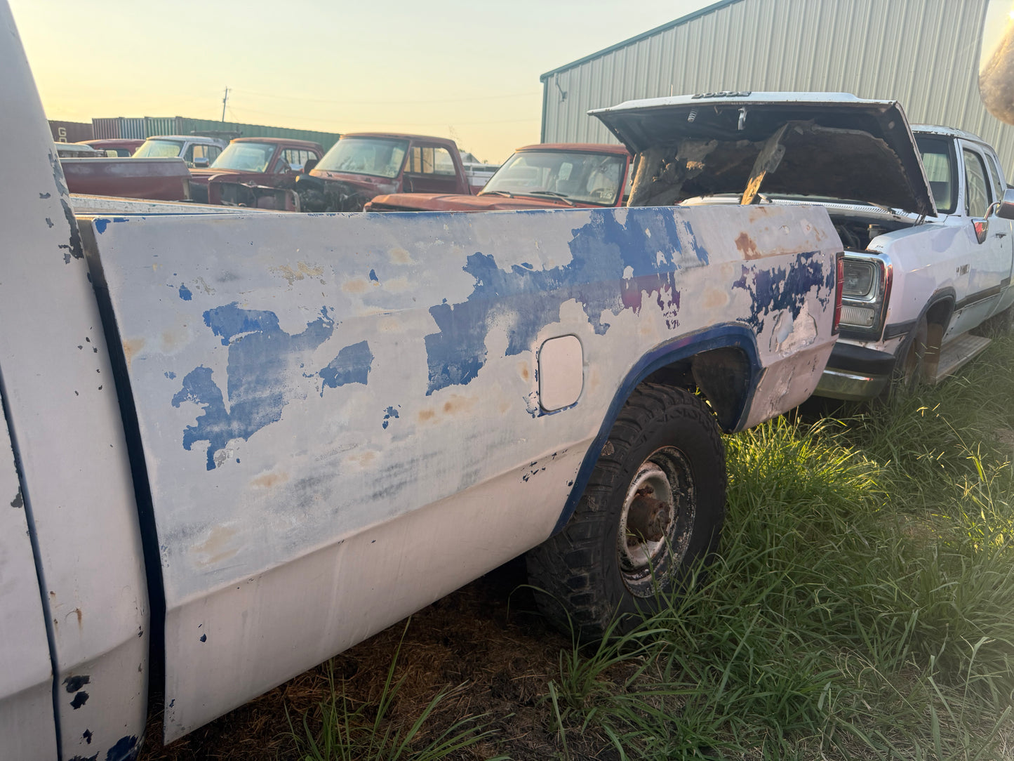 Z Blue White Longbed