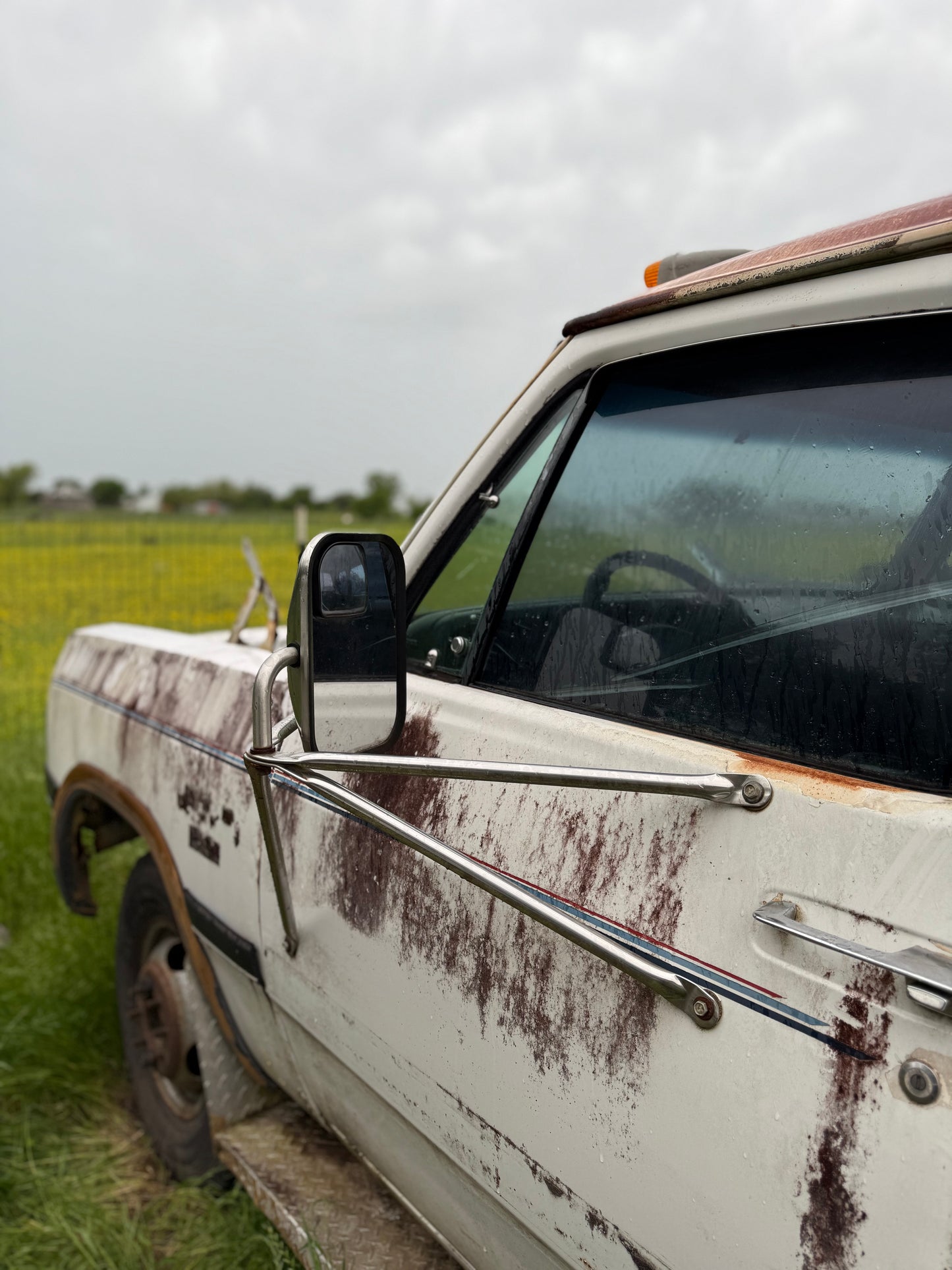 Tow Mirror Arms Set Dealer Option