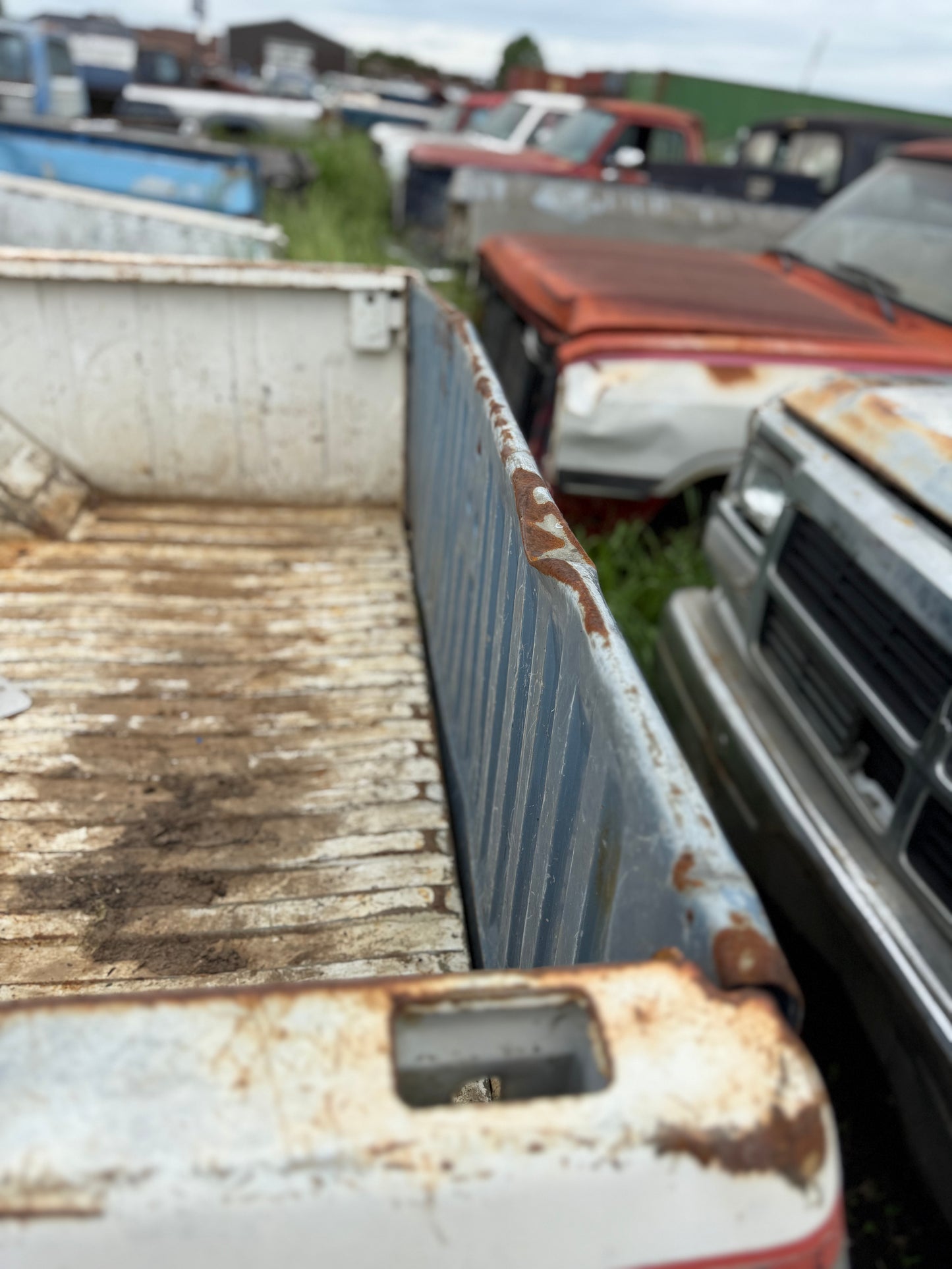 Tailgate Blue Stamped First Gen Cummins (Local Pickup)