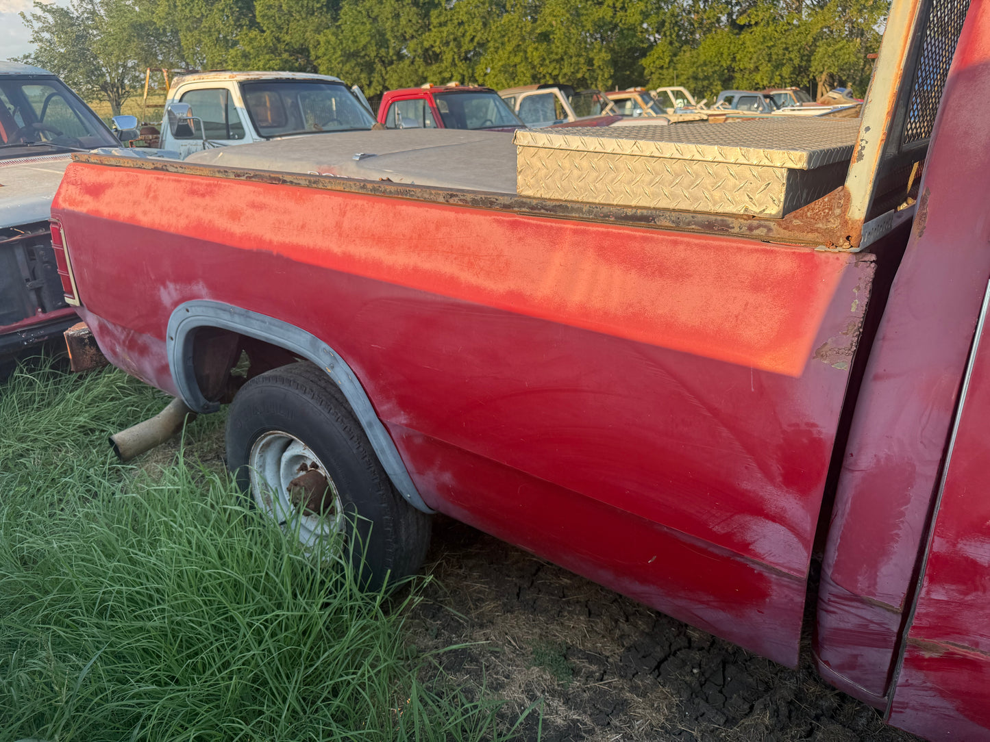 Z Red Longbed