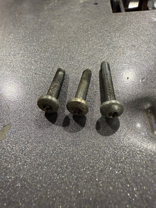 Ignition Factory Security Screws (3)