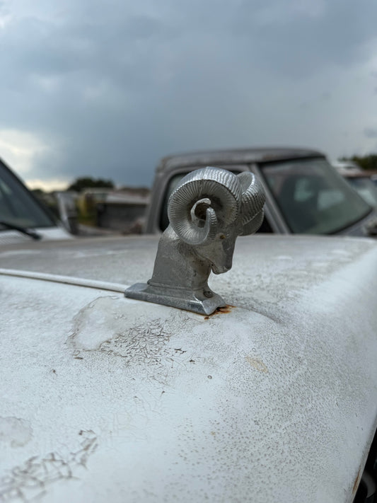 Rams Head Emblem Aftermarket