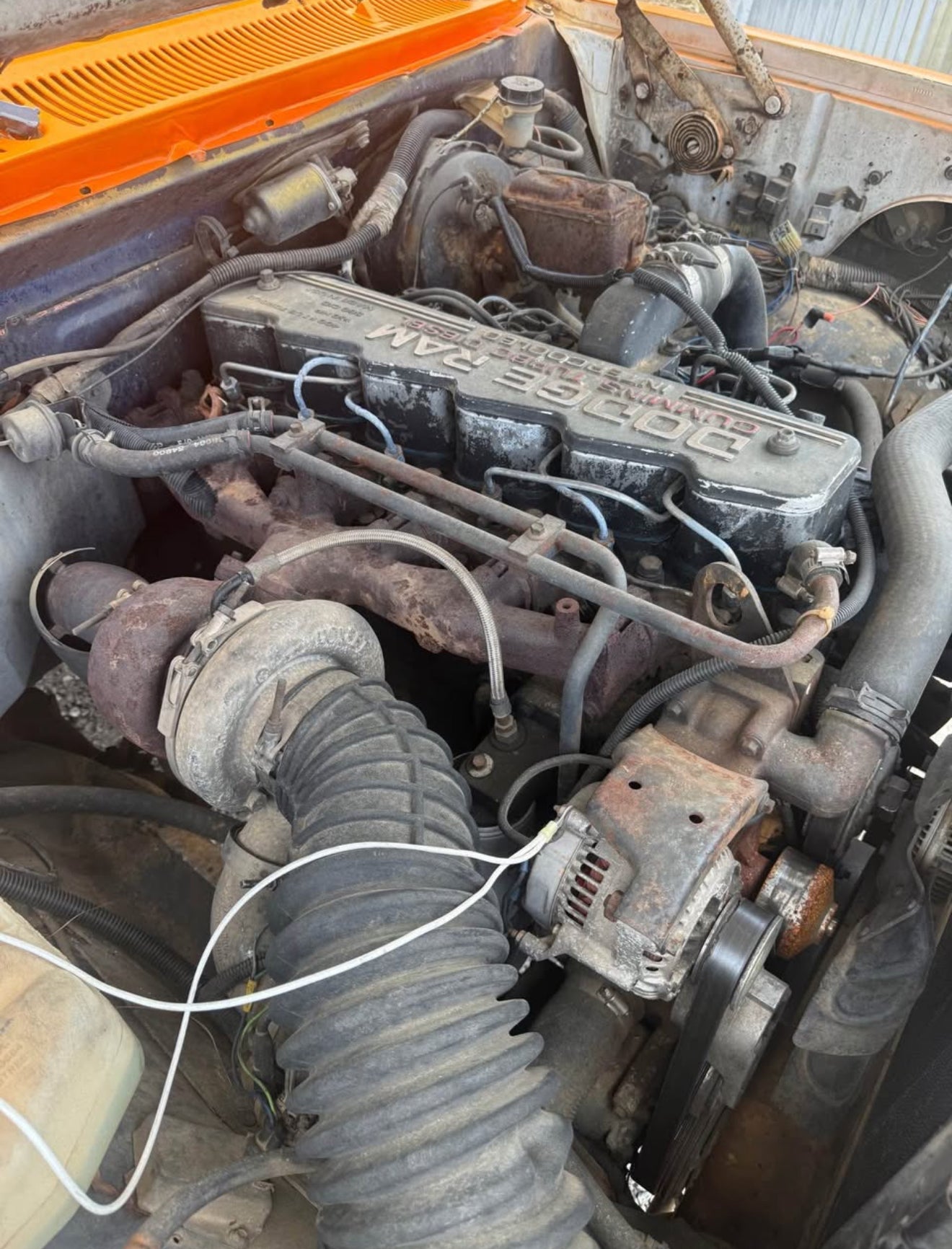 Engine 12 Valve Intercooled (ve pump needs some new seals)