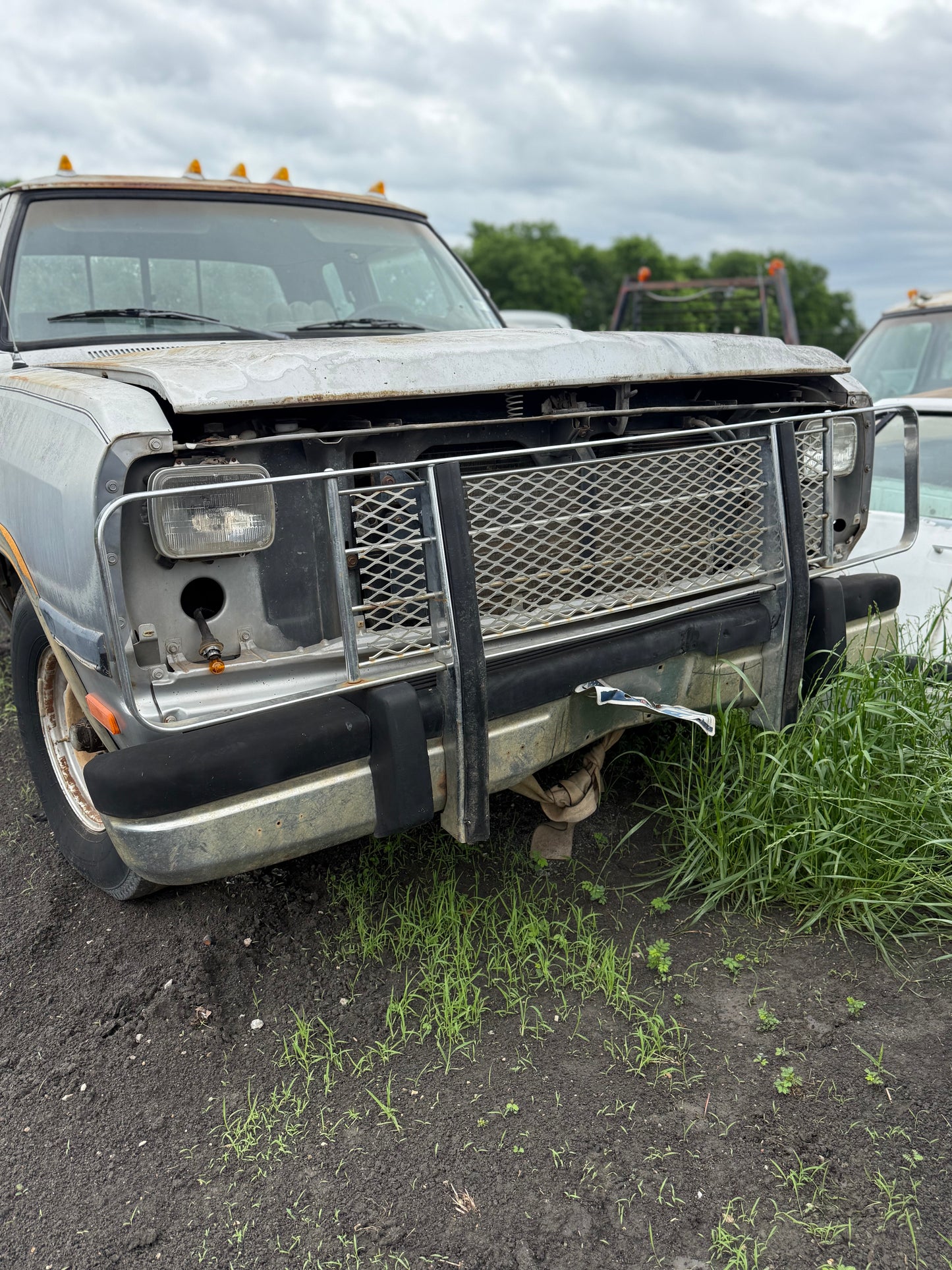 Grill Guard First Gen Cummins (Local Pickup)