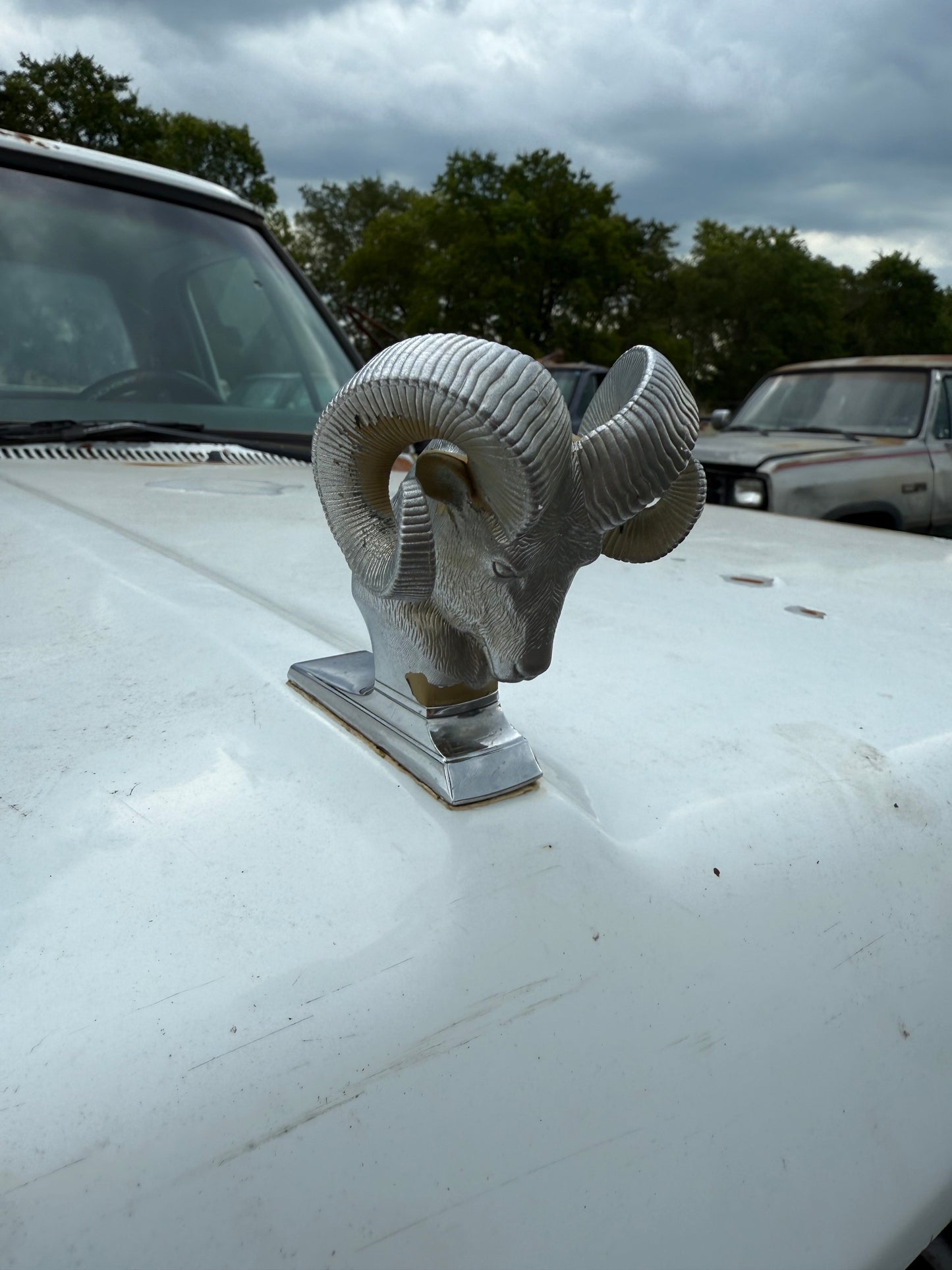 Rams Head Hood Ornament OEM