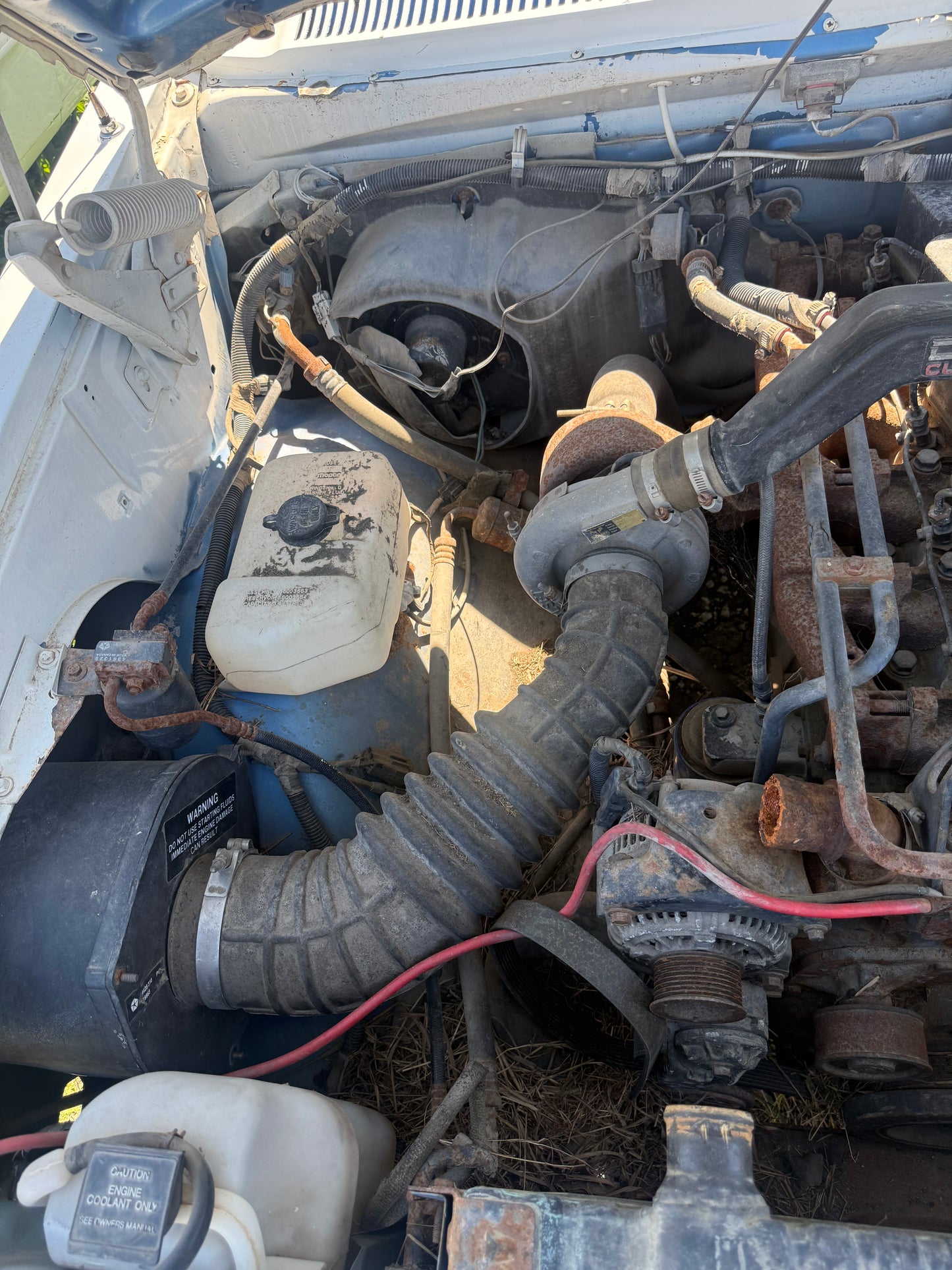 Wiring - Under Hood Engine Bay Harness 89-90 Cummins