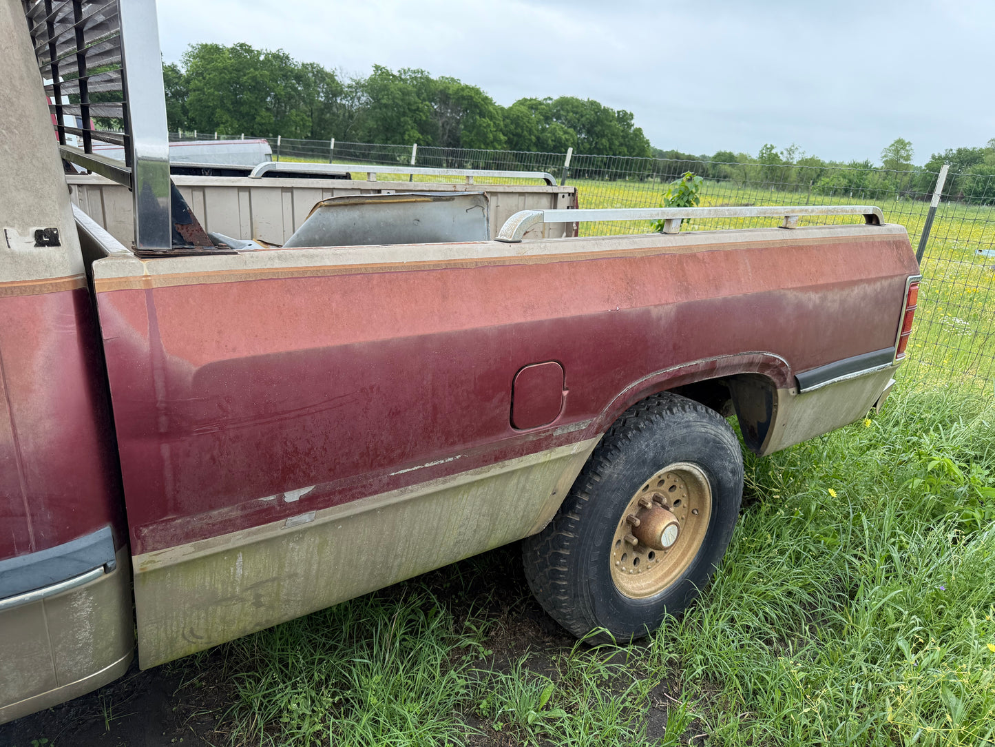 Z Single Wheel Bed Gold / Maroon