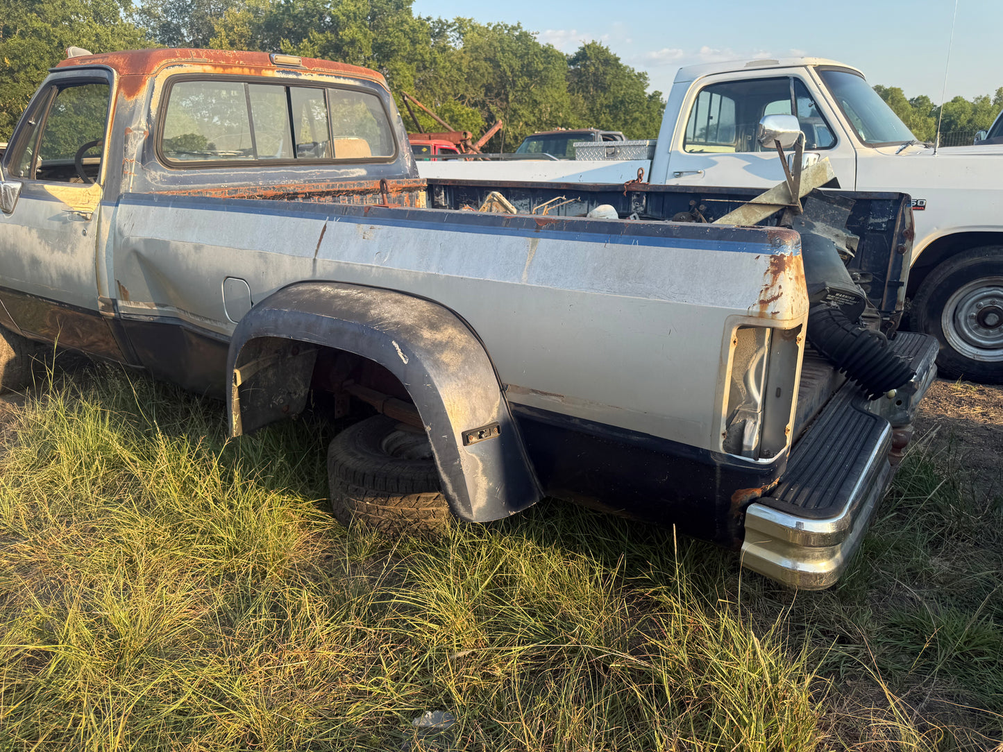 Z Dually Bed Blue Silver