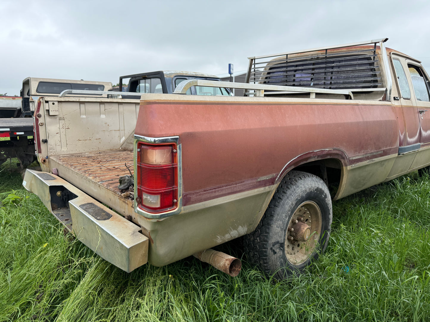 Z Single Wheel Bed Gold / Maroon