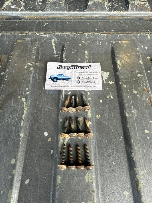 Tailgate LE Panel Trim Bolts Set 1st Gen Cummins